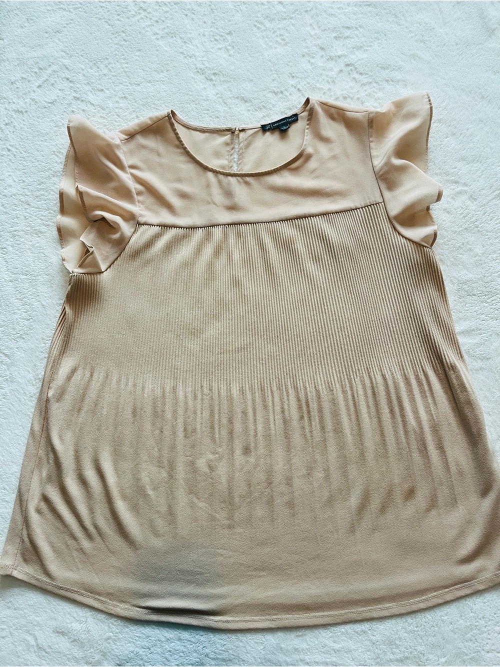 Adrianna Papell Light Beige Pleated Flutter Sleeve Top